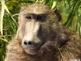Museo de Vida Silvestre - SAN JUAN